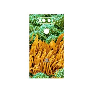MAHOOT Atom Universe 6 Cover Sticker for LG V20