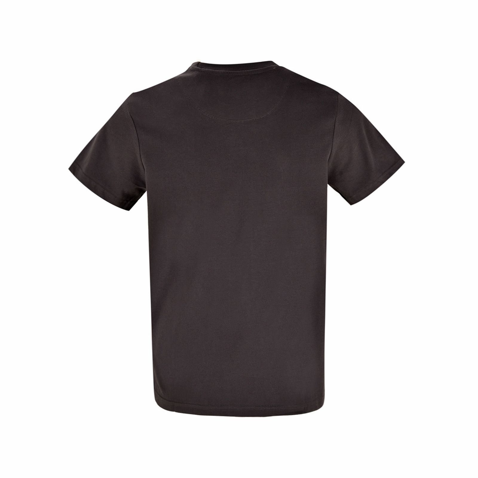 تی شرت آستین کوتاه مردانه بادی اسپینر مدل 4369  کد 1 رنگ ذغالي -  - 3