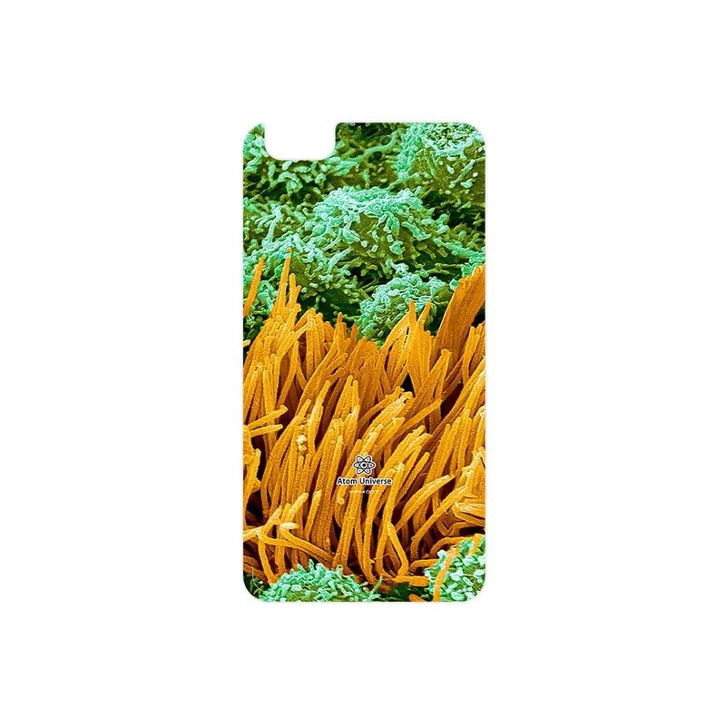 برچسب پوششی ماهوت مدل Atom Universe 6 مناسب برای گوشی موبایل آنر 4X