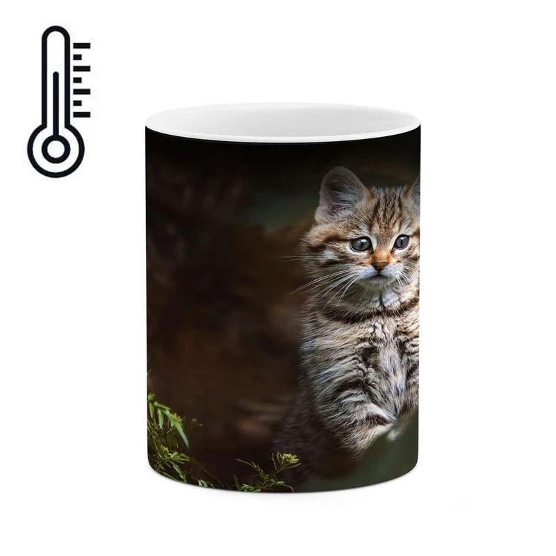 ماگ حرارتی کاکتی مدل گربه کد mgh16201