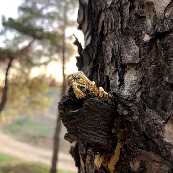 انگشتر مردانه مدل آغوش