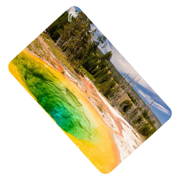 استیکر کارت طرح طبیعت مدل CAC345-K-G1-141