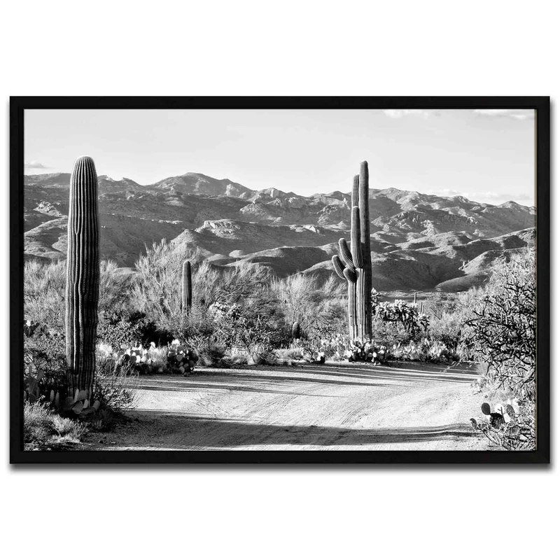 تابلو مدل Cactus on the way کد 248901288