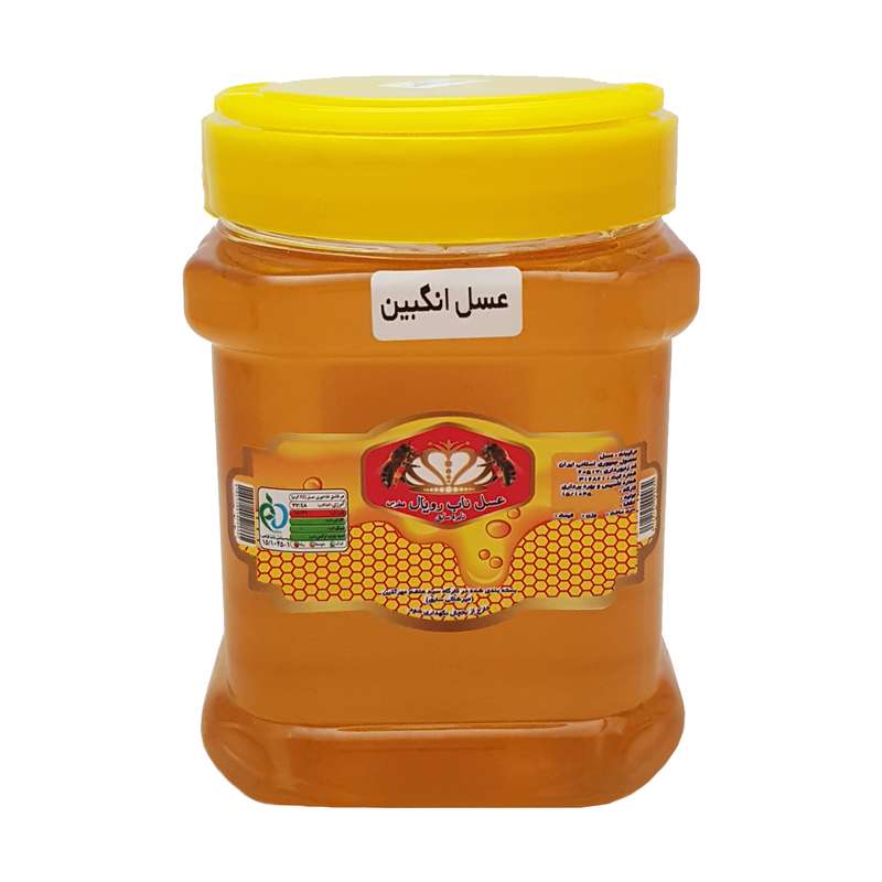 عسل طبیعی گون ناب رویال فُطرس خوانسار - 1 کیلوگرم