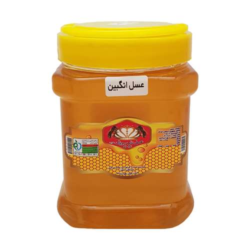 عسل گون انگبین طبیعی ناب رویال فُطرس خوانسار - 1000 گرم بسته 3 عددی