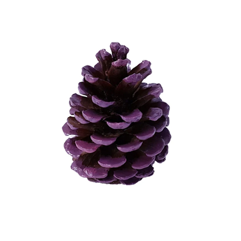 میوه تزیینی مدل کاج