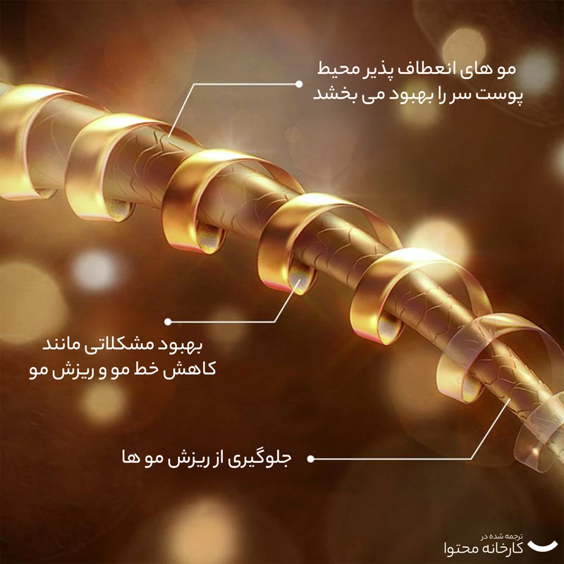 عکس شماره 3 : شامپو تقویت کننده و ضد ریزش مو بایو آکوا مدل رزماری مناسب انواع مو حجم 250 میلی لیتر