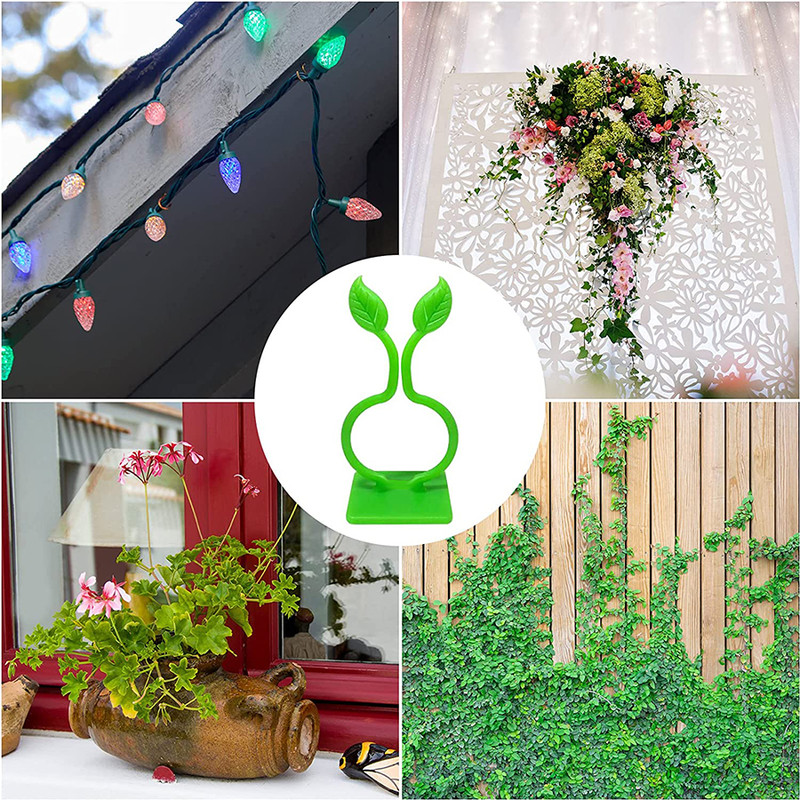 قیم بند مدل برگی بسته 30 عددی قیم بند مدل برگی بسته 30 عددی