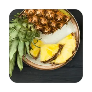 زیر لیوانی کاکتی طرح میوه مدل mp22084