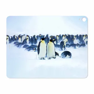 MAHOOT Penguin Cover Sticker for Apple iPad Pro 12.9 GEN 3 2018 A2014