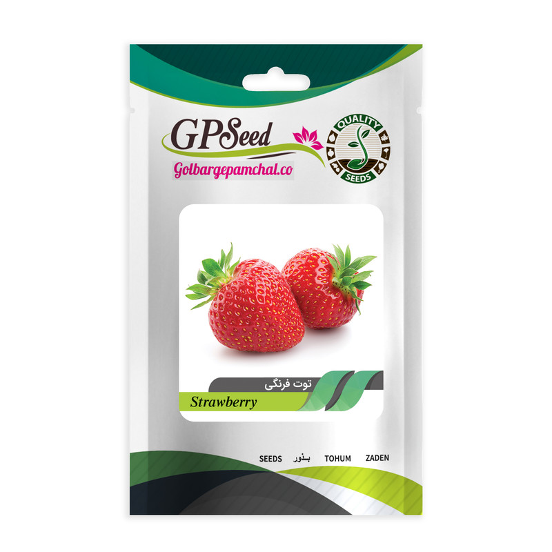 بذر میوه توت فرنگی کاماروسا گلبرگ پامچال کد GPF-195