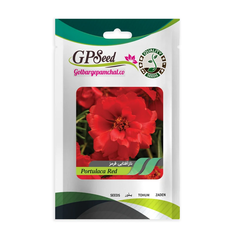 بذر گل ناز آفتابی پاکوتاه قرمز گلبرگ پامچال کد GPF-089