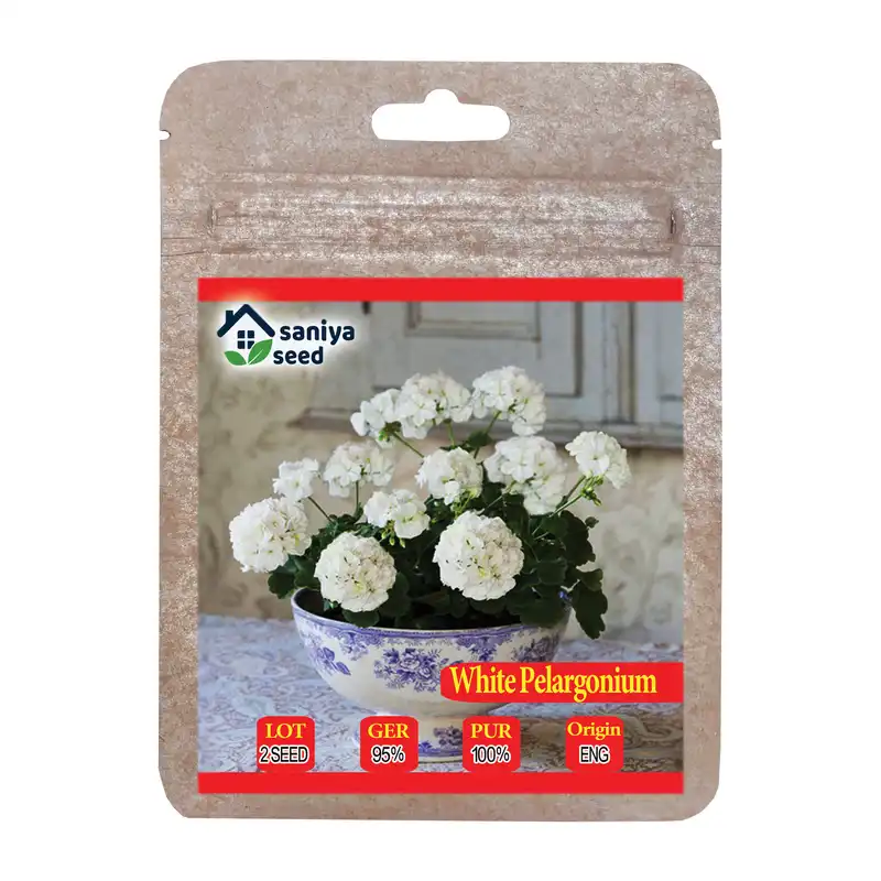 بذر گل شمعدانی سفید سانیا سید مدل SS77