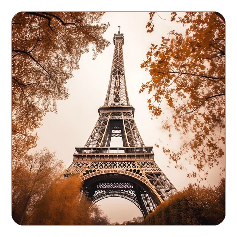 مگنت کاکتی طرح پاریس Paris مدل mp57167