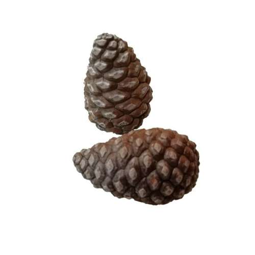 میوه تزیینی مدل کاج مجموعه 2 عددی