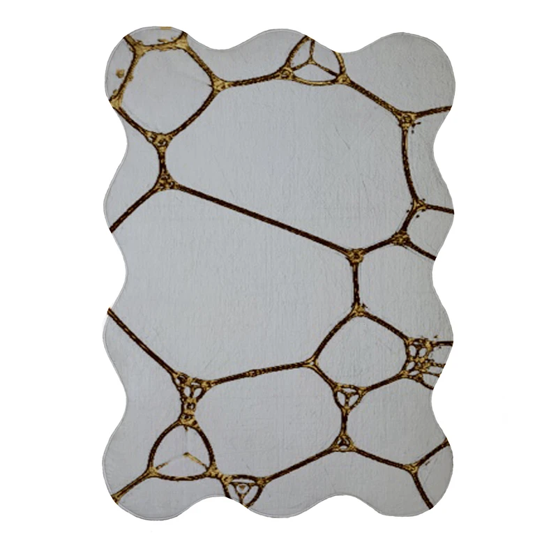 پادری مدل دالبر طرح کلاسیک کد 8788 سایز 80x110 سانتی متر 