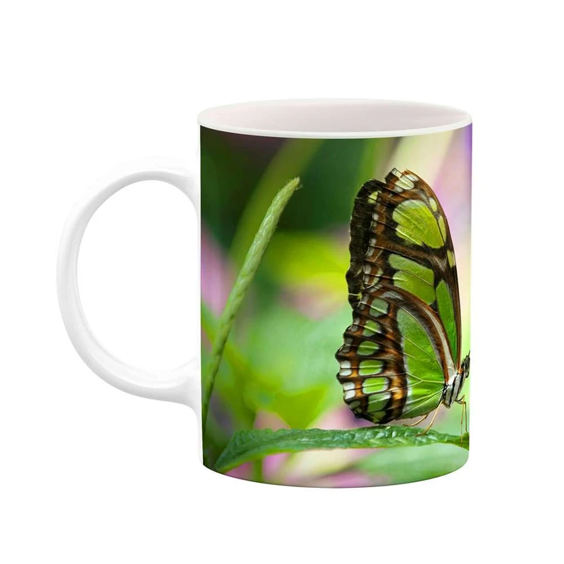 ماگ کاکتی مدل پروانه کد mgh12088