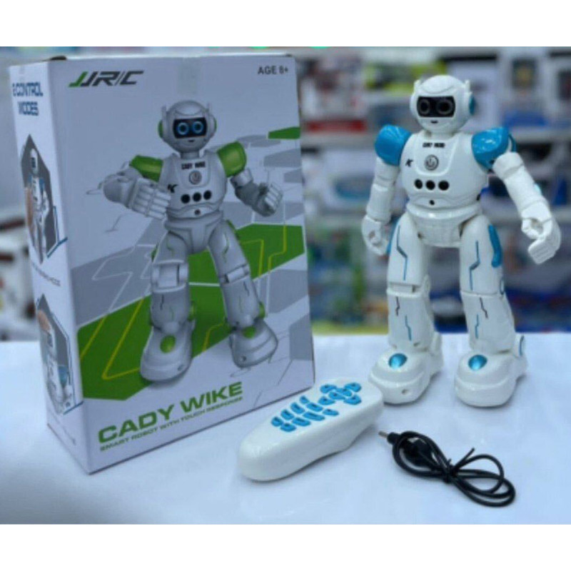 ربات کنترلی مدل R11