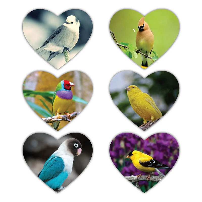 پوستر مدل پرندگان رنگارنگ  کد 35 مجموعه 6 عددی