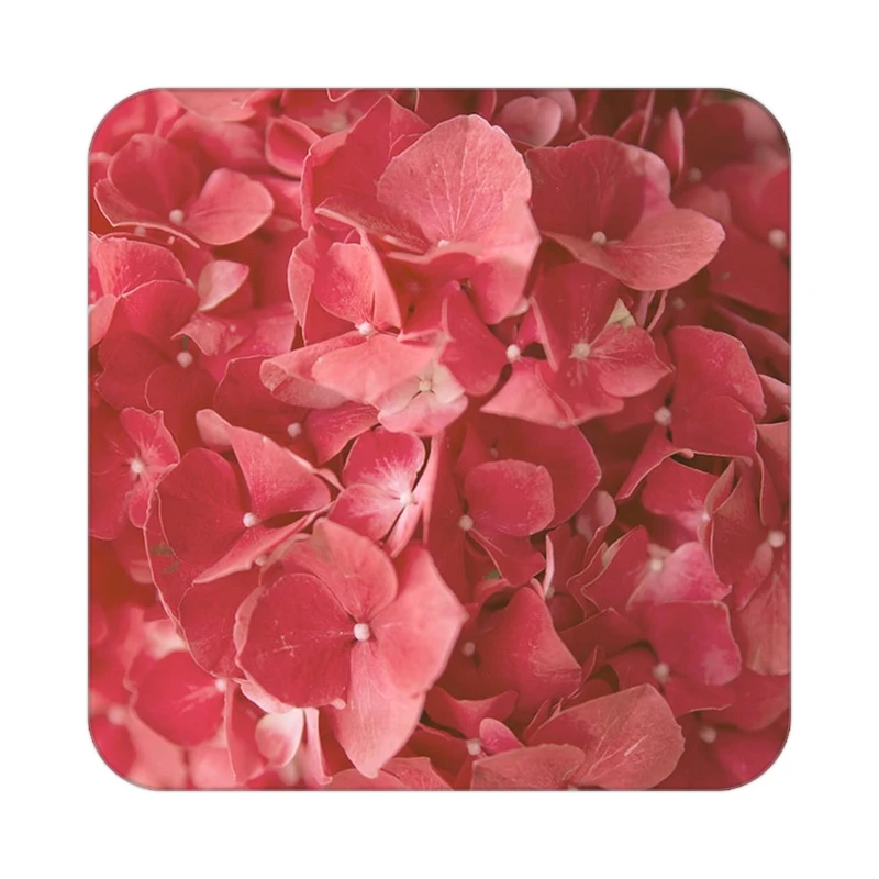 زیر لیوانی کاکتی طرح گل مدل mp17791