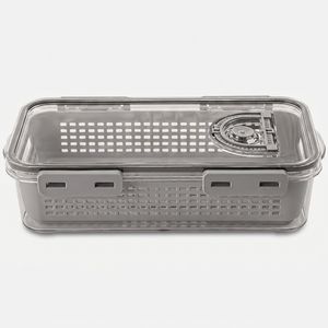 ظرف نگهدارنده لیمون مدل تاریخ دار کد DH2377