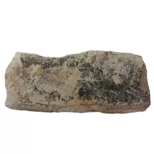 سنگ راف شجر فسیلی مدل تزیینی آکواریوم کد 167