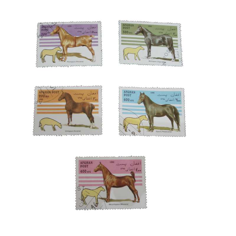 تمبر یادگاری مدل حیوانات کد DS1553 مجموعه 5عددی
