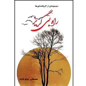 کتاب راه بی گریز اثر مصطفی دولو قاجار نشر مانیان