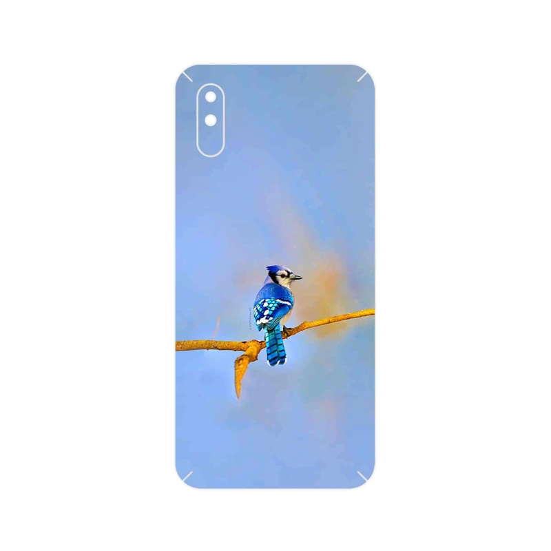 برچسب پوششی ماهوت مدل Cyanocitta cristata مناسب برای گوشی موبایل شیائومی Redmi 9A