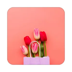 زیر لیوانی کاکتی طرح گل مدل mp16582