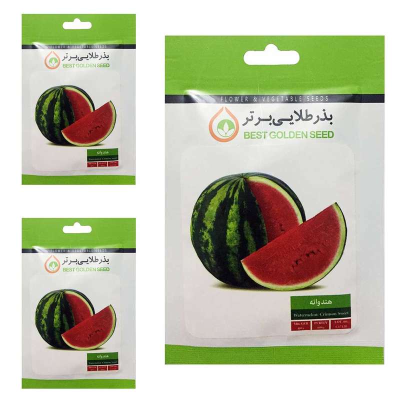 بذر هندوانه کریمسون بذر طلایی برتر کد BTB-84 مجموعه 3 عددی بذر هندوانه کریمسون بذر طلایی برتر کد BTB-84 مجموعه 3 عددی