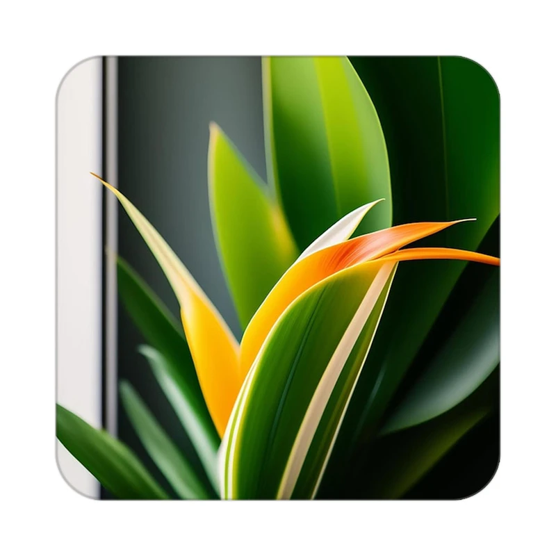 زیر لیوانی کاکتی طرح گل مدل mp18463