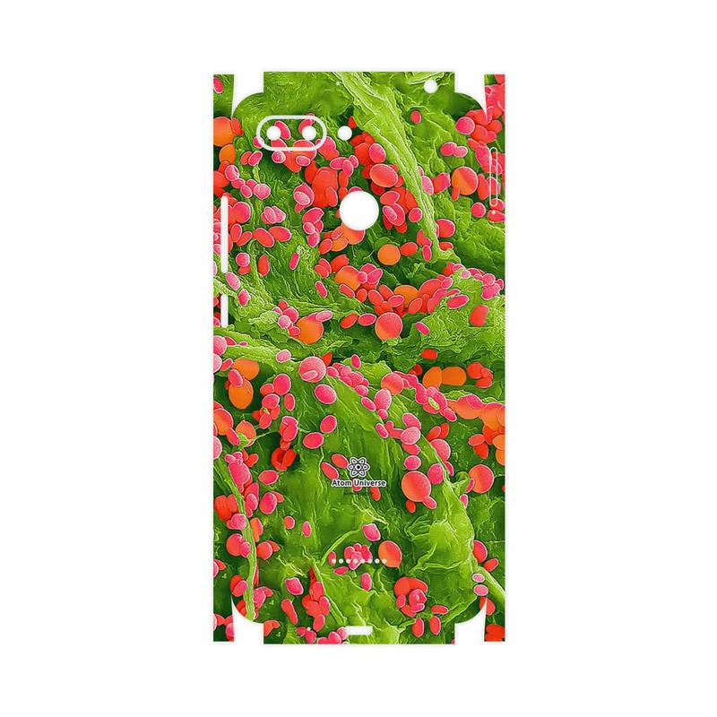 برچسب پوششی ماهوت مدل Atom Universe 3-FullSkin مناسب برای گوشی موبایل شیائومی Redmi 6