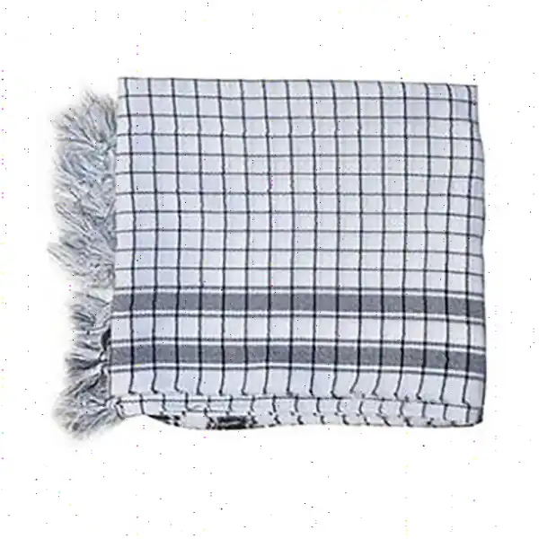 چفیه مدل ce-chfi