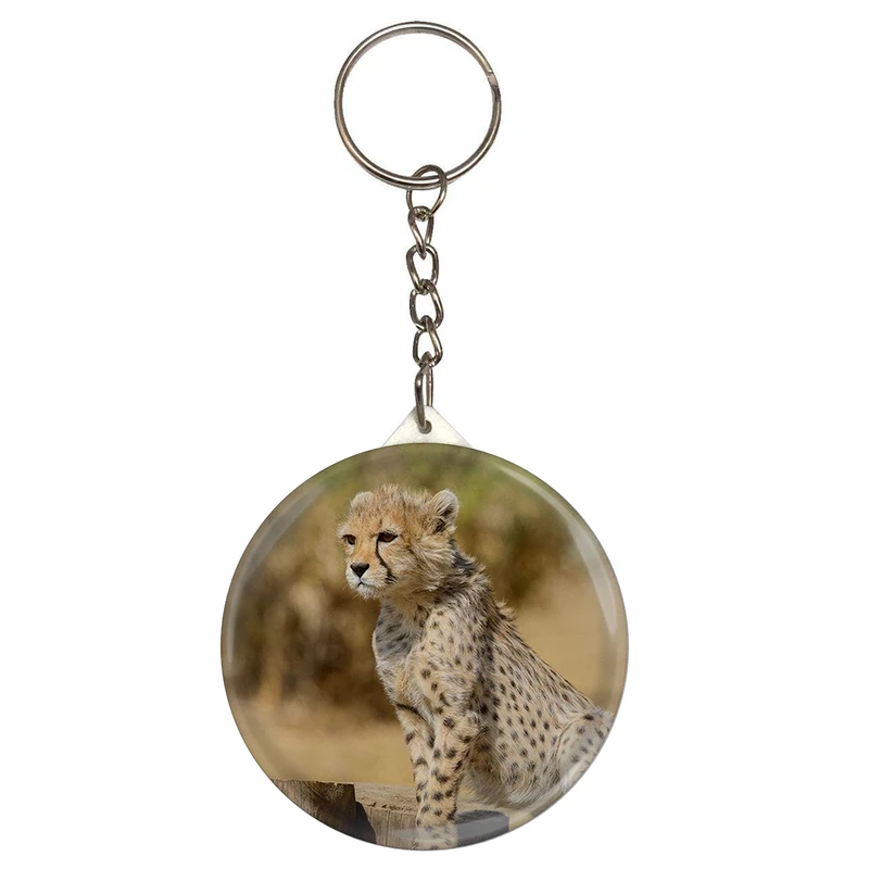 جاکلیدی مدل S12708 طرح پیروز یوزپلنگ ایران