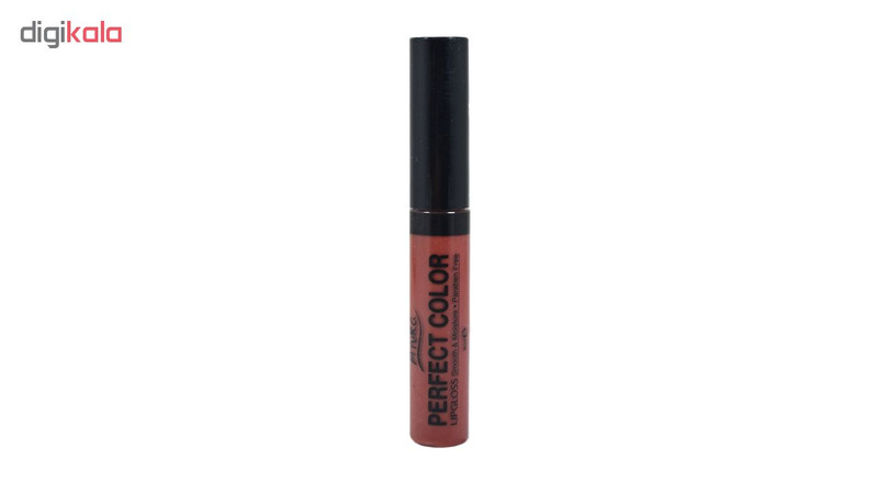 رژ لب مایع آنیکا مدل PG شماره 03