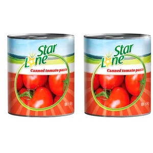 رب گوجه فرنگی لون استار 800 گرم - بسته 2 عددی