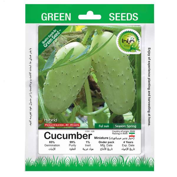 بذر خیار چنبر مینیاتوری گیلدا کد 628