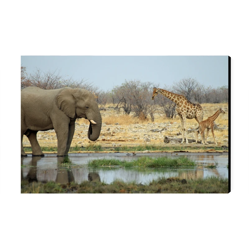 تابلو شاسی عرش مدل فانتزی فیل و زرافه کد As4813