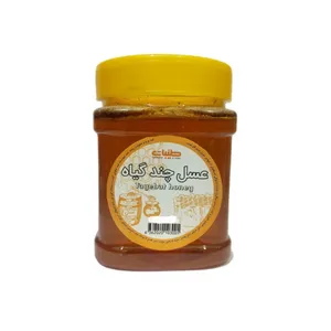 عسل چند گیاه طیبات - 500 گرم