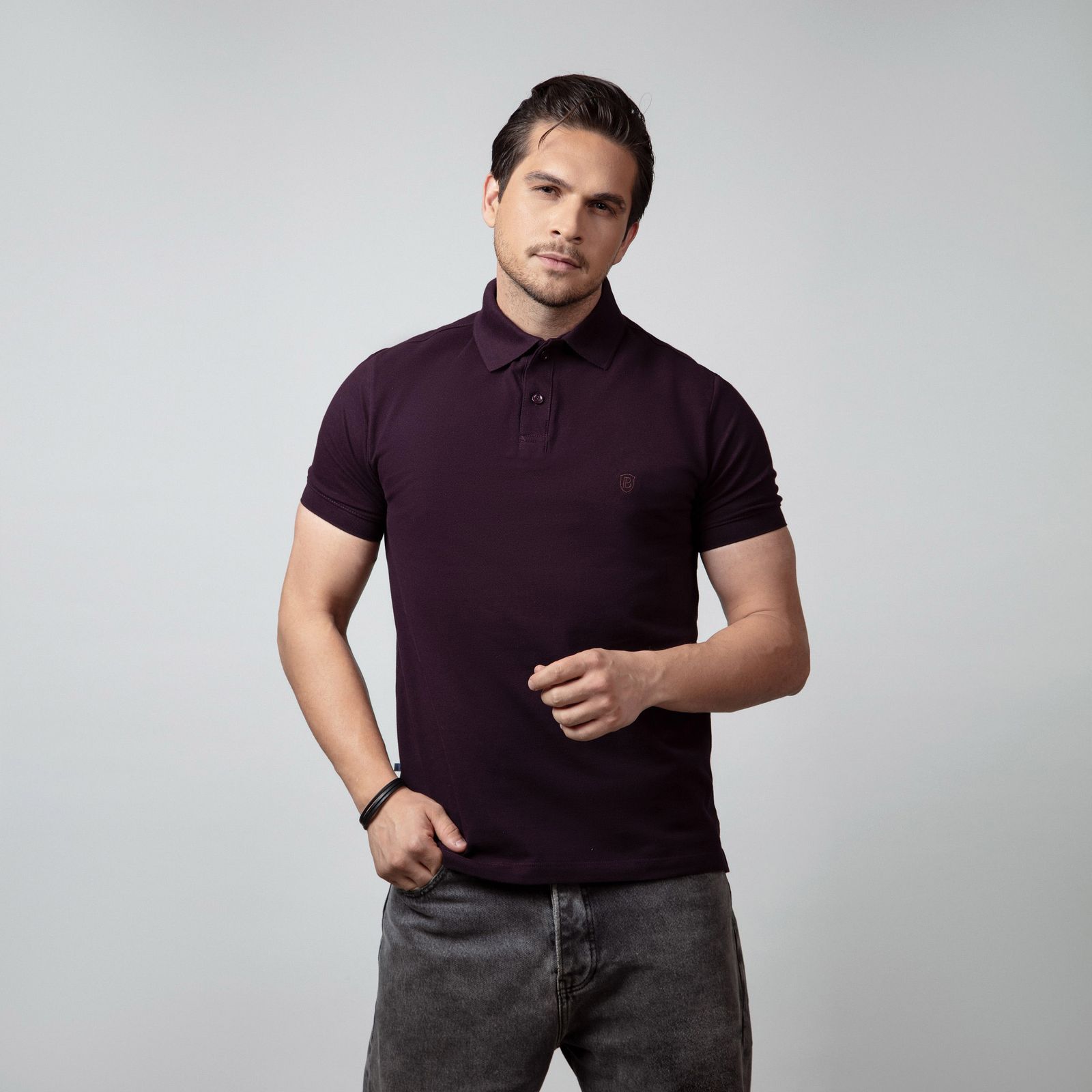 پولوشرت آستین کوتاه مردانه باینت مدل 370-43 - - 2