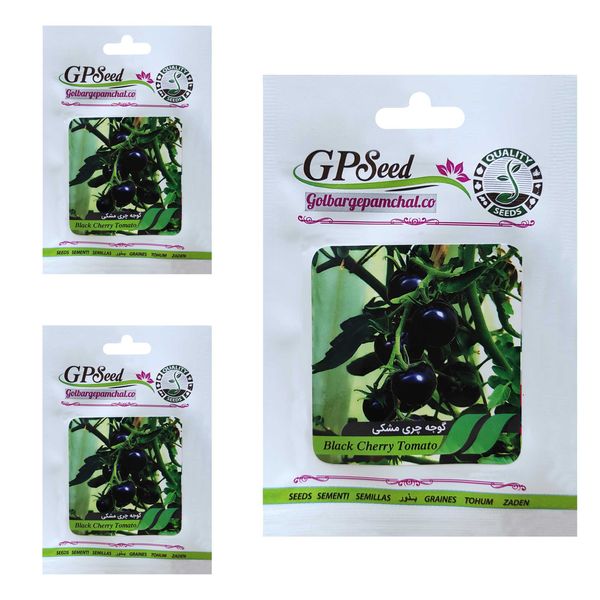 بذر گوجه چری مشکی گلبرگ پامچال کد GPF-202 مجموعه 3 عددی بذر گوجه چری مشکی گلبرگ پامچال کد GPF-202 مجموعه 3 عددی