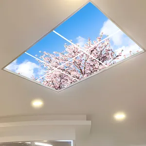 تایل سقفی آسمان مجازی مدل SK-418-2x3 سایز 60x60 مجموعه شش عددی