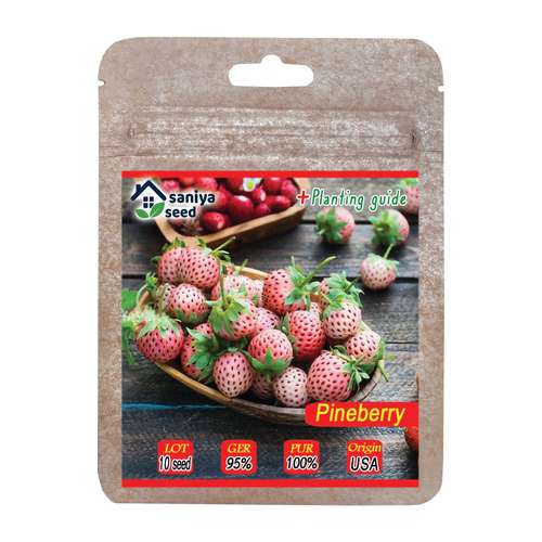 بذر توت فرنگی سفید سانیا سید مدل ss28