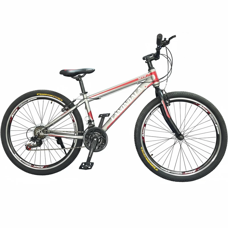 دوچرخه کوهستان مدل Silvered سایز طوقه 26 اینچ