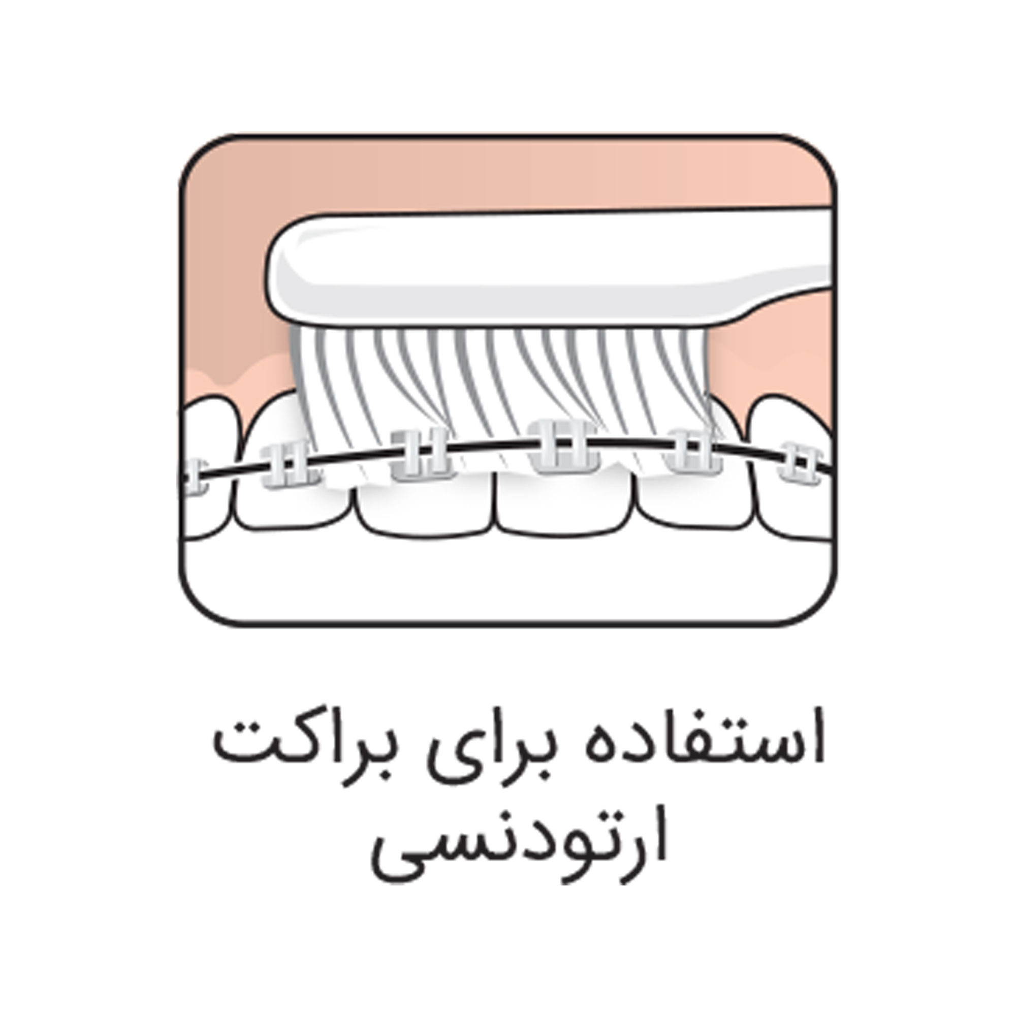 مسواک تهپه مدل IMPLANT ORTHO با برس متوسط به همراه مسواک بين دندانی تهپه مدل 001 مسواک تهپه مدل IMPLANT ORTHO با برس متوسط به همراه مسواک بين دندانی تهپه مدل 001