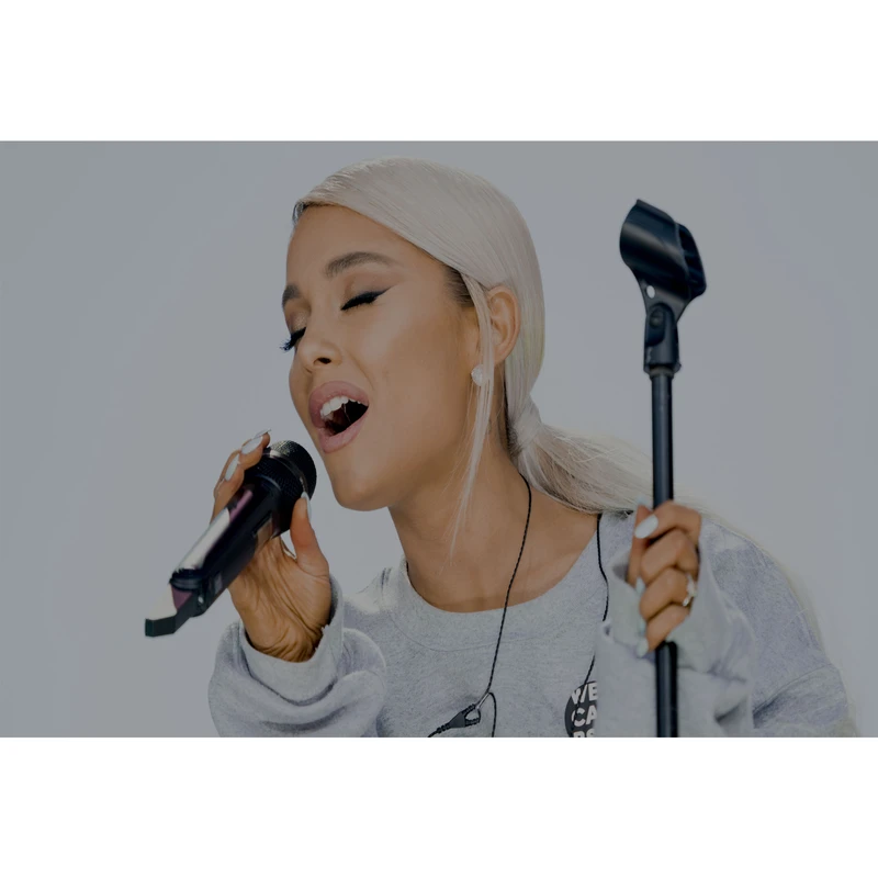 تابلو شاسی مدل خواننده آریانا گرانده T6034