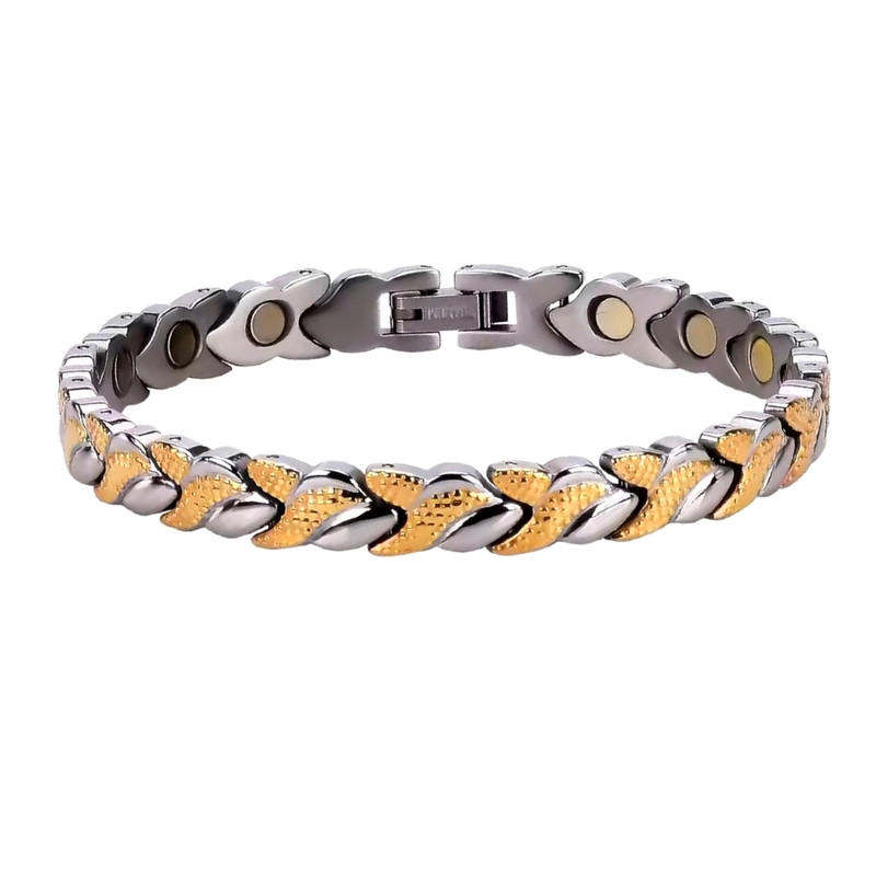 دستبند مغناطیسی مگنت آریکس مدل fish