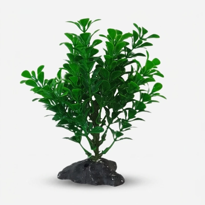 گیاه تزیینی آکواریوم مدل درختچه کد 240