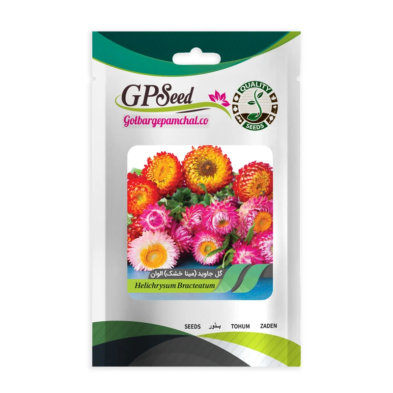 بذر گل جاوید الوان گلبرگ پامچال کد GPF-281